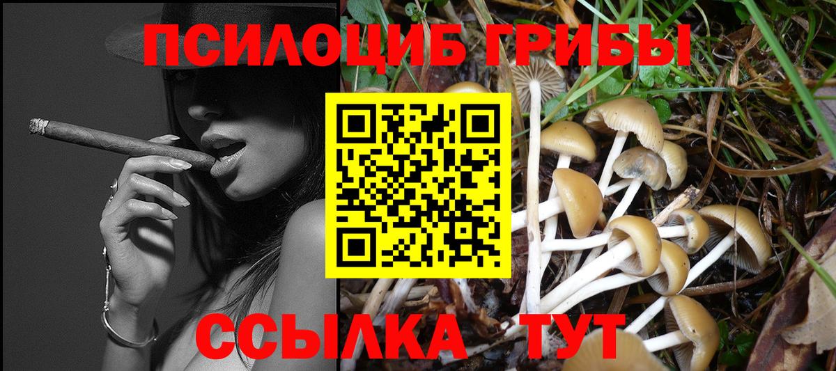 Галлюциногенные грибы ЛСД  Галлюциногенные грибы GOLDEN TEACHER  купить закладку  Бахчисарай  Вход с VPN 