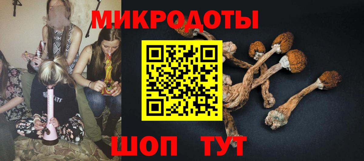 Галлюциногенные грибы GOLDEN TEACHER Бахчисарай